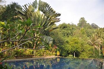 Hotel Tiger Rock Pangkor Island Zewnętrze zdjęcie